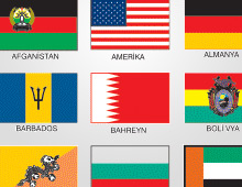 Foreign State Flags